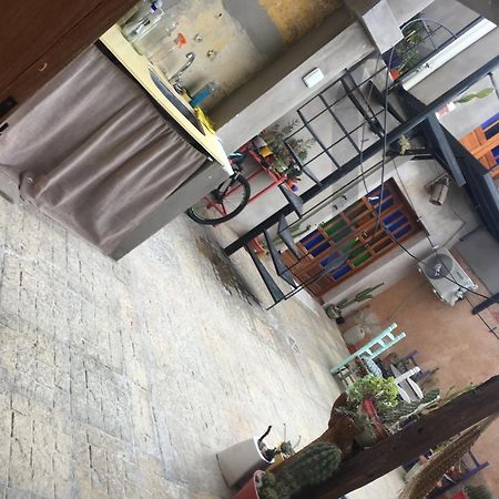 圣路易斯Residencia La Isabel公寓 外观 照片