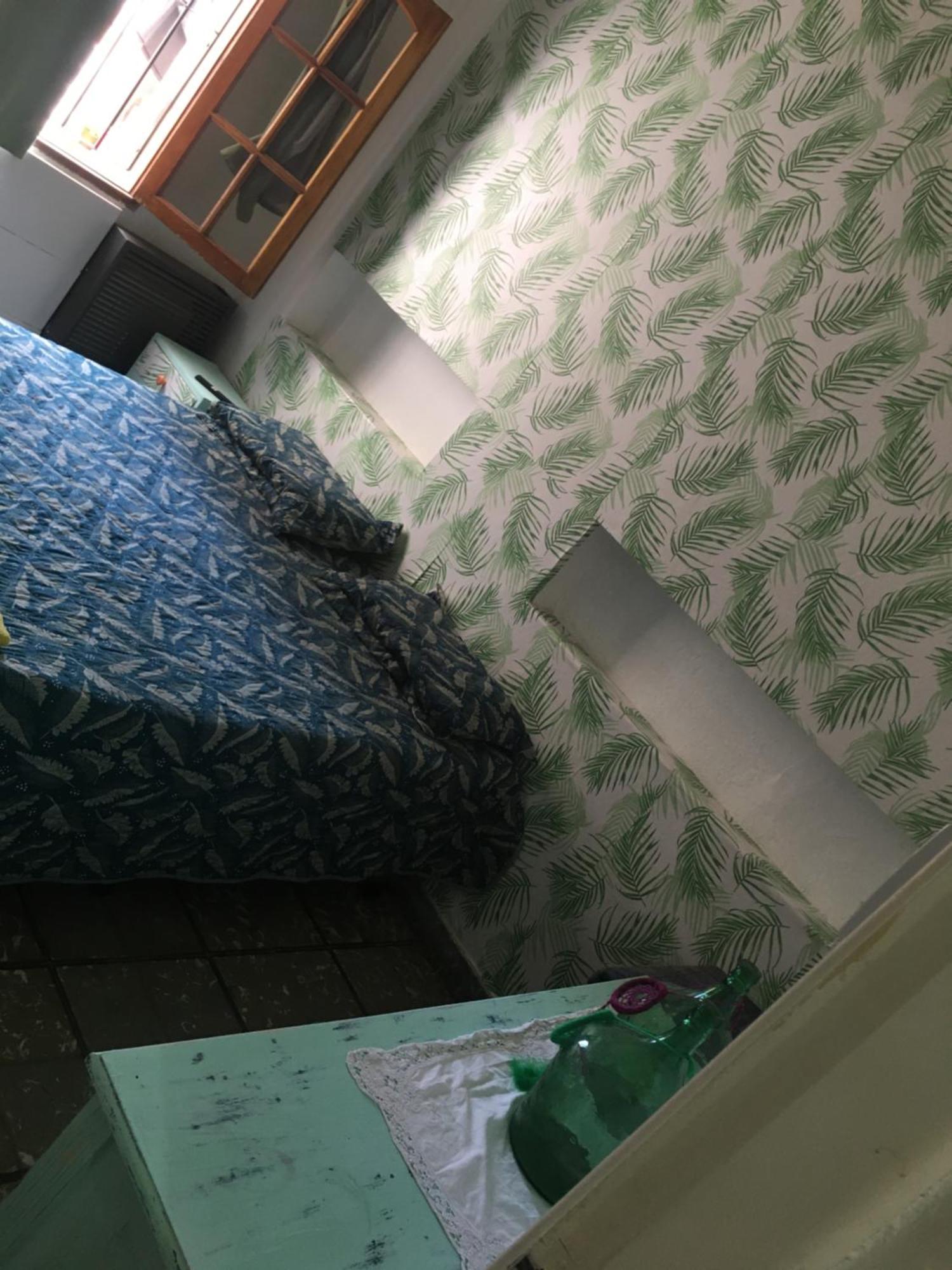 圣路易斯Residencia La Isabel公寓 外观 照片